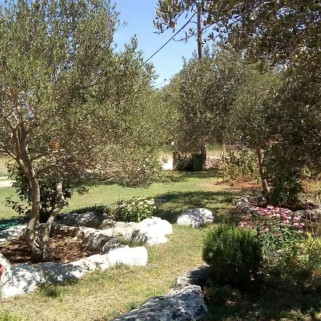 In - Insel Pasman 7879 דירה *